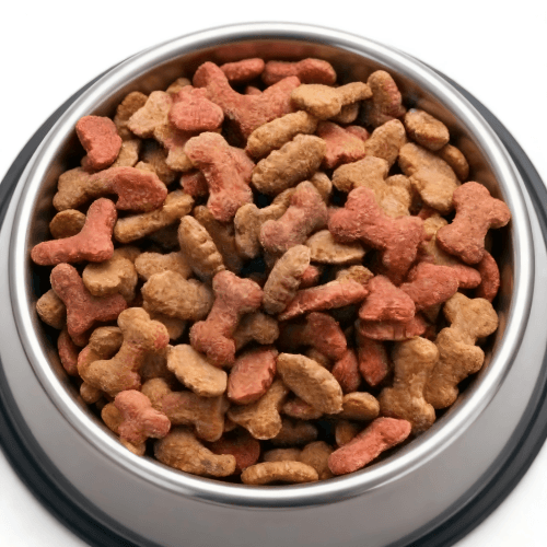 premium pet food kibble zhuoheng machinery